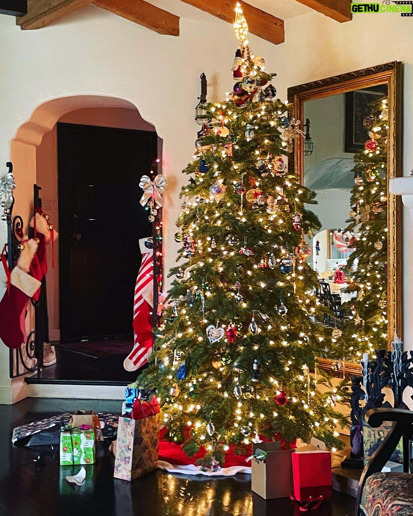 Angela Alvarado - 538 Likes - Merry Christmas ❤️ #christmas2021 #calixmas #family #peace #love #happiness #beauty