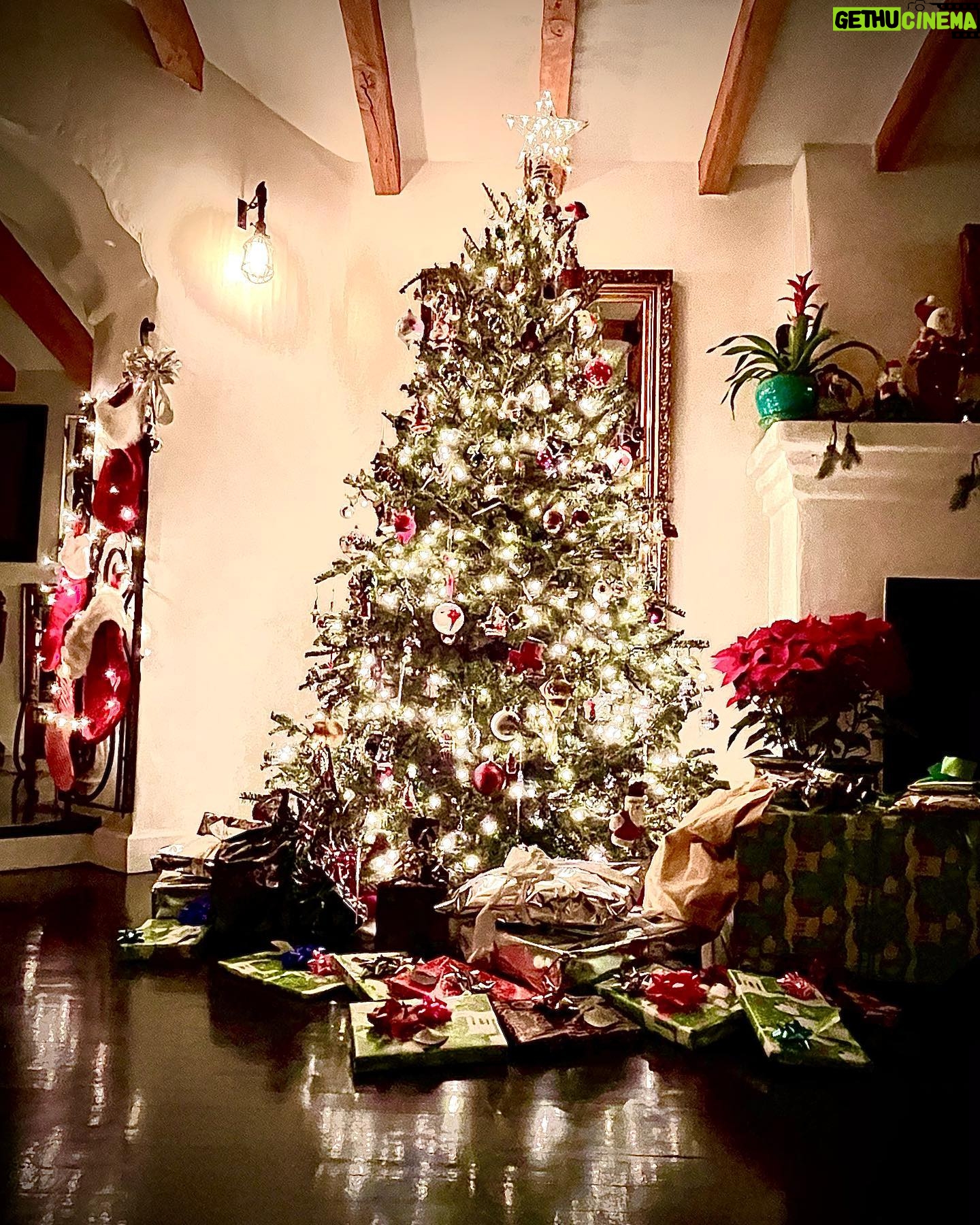 Angela Alvarado - 0.9K Likes - Merry Christmas 🎄 Feliz Navidad 🎄 #blessings #family #love #happy #peace #joy #laughter #grateful 🙏🏽❤️💋