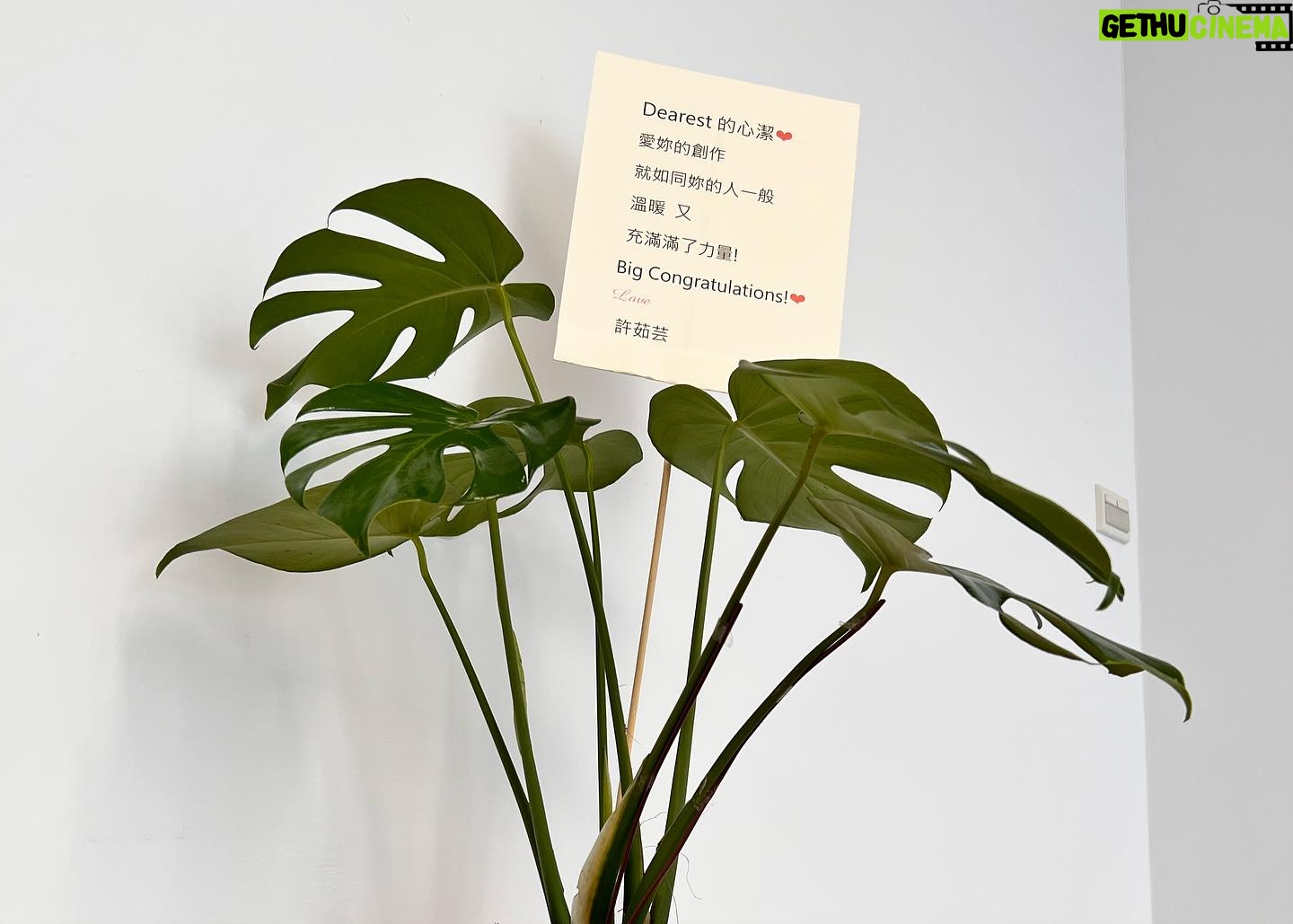 Angelica Lee - 1.1K Likes - 謝謝所有到來支持「不止於靜」畫展的好友恩師,感激不盡。
謝謝小玲姐,陶子姐,依晨,康永哥,建騏,子育,Sandra特地抽空來看展。
謝謝尊彩藝術中心的余總和陳總。
謝謝所有無法到場卻送上美麗花架祝賀的朋友。
【展覽資訊】
不止於靜-李心潔 個展
Beyond Silence – Sinje Lee Solo Exhibition
展期|2023.09.16(六)-2023.10.18(三)
開幕|2023.09.16(六)15:00
地點|尊彩藝術中心二樓展覽館(台北市內湖區瑞光路366號)
開放時間|週二至週日11:00-18:00,週一休館
Styling Kary Kwok @karyphoto
Outfit @brunellocucinelli_brand @lanecrawford
#brunellocucinelli_brand
#brunellocucinelli
#cucinelli
#lanecrawford
#尊彩藝術中心 #LiangGallery #李心潔 #SinjeLee #不止於靜 #beyondsilence