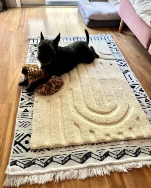 Angelique Kenney Instagram - It’s been a day … deep cleaning, #mealprep and got the Belza seal of approval on these 2 new designer all natural materials #rugs … one coton #Arizona feel (love the double sided and washable feature) with this amazing 🤩 thick white #wool #fairetrade  that is sooooooooooo fluffy love 💕 to keep the style going. 
I’ve been searching a long time for this!

Time to re instal my #MCM coffee table …

What’s #MCM you ask …? Oh it’s #MidcenturyModern I love #midcentury style and put my own spin on it …

#interiordesign #realtor #designmyspace #creativity #composition #ittakestime #carpediem #interiordecor #homedecor #socalrealestate #californiarealtor #staging #askmehow #artist #actor #actress #feminine #art #angel #surfer #NoChildLabour #handmade with love ❤️ not children !