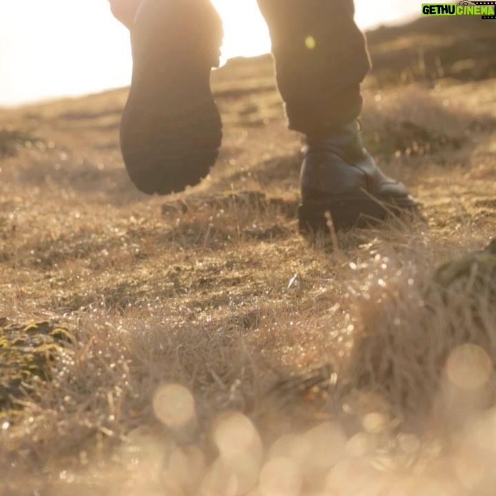 Ângelo Rodrigues - 3 Likes - Descobri estes versos de Henry David Thoreau, achei apropriado.
“Fui para os bosques viver de livre vontade,
Para sugar todo o tutano da vida...”
Para aniquilar tudo o que não era vida,
E para, quando morrer, não descobrir que não vivi”.