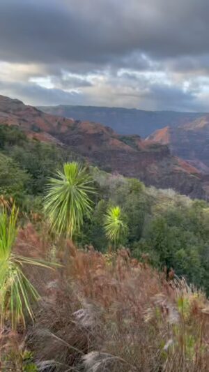 Angie Everhart Instagram - #kauai 
#beautiful #world