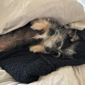 Anja Rubik Instagram - May dump
