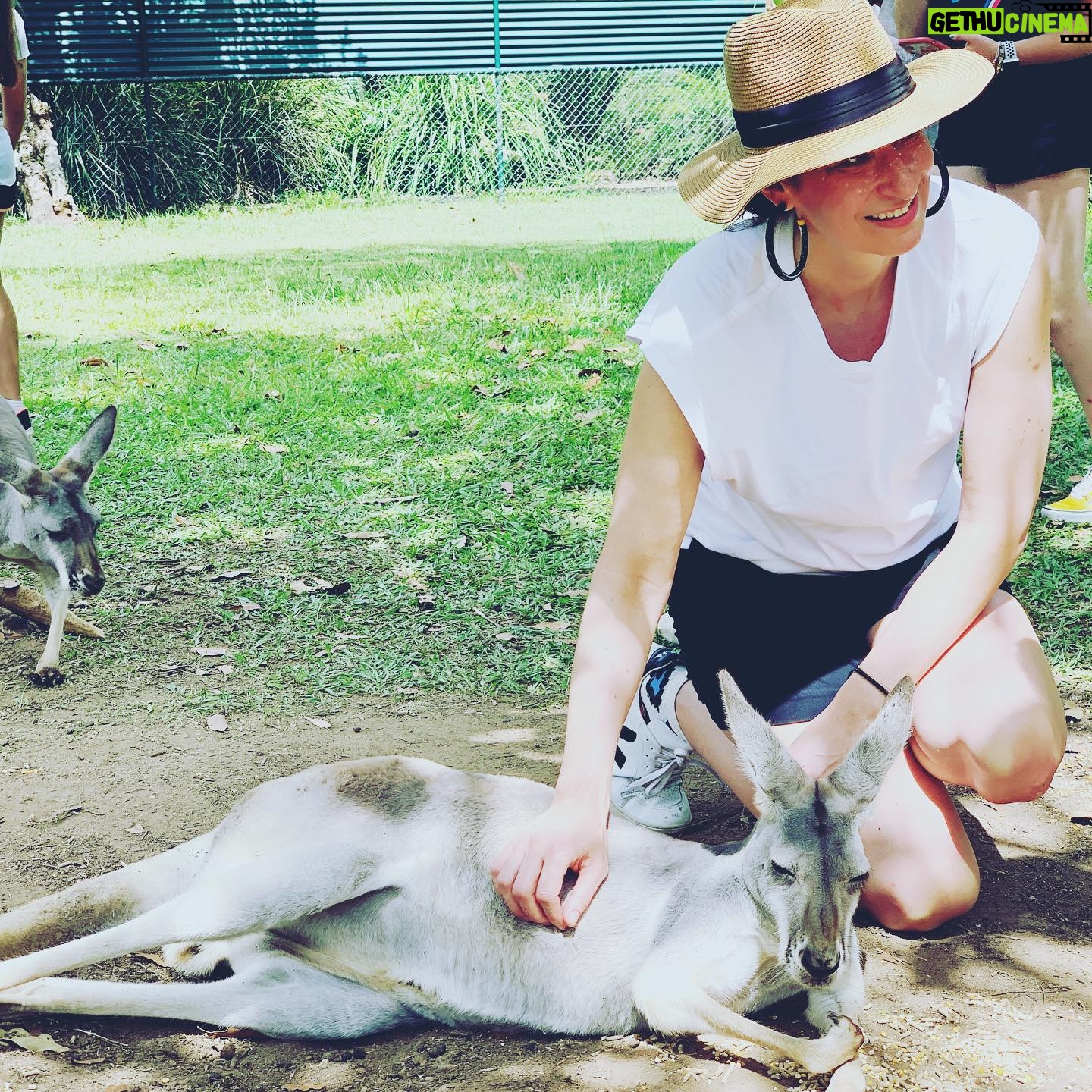 Ann Shoket - 73 Likes - Happy Australia Day from my Aus crew to yours! 🇦🇺🦘🍔🍷🍻🐨 🎉