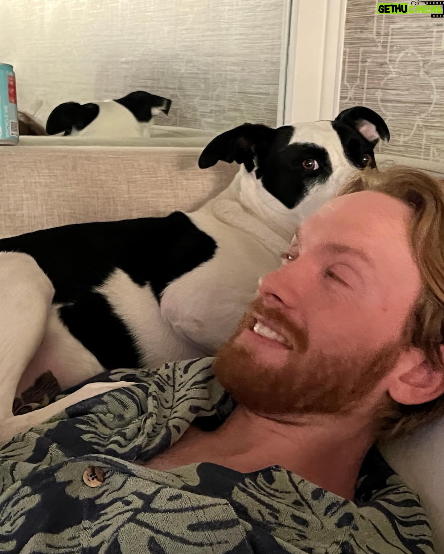 Anna Drezen - 644 Likes - They say you can tell a lot about a person by what a dog thinks of them. Every dog loves Jason except when he wears a hat because all dogs fear men in hats. Happy birthday baby. We gotta stop getting pets.