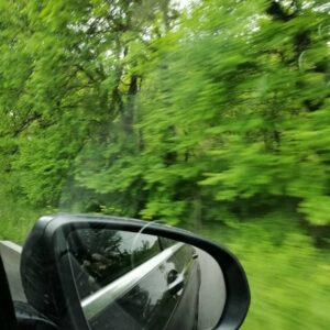Anna-Maria Papaharalambous Instagram - #greenistheonlyway #onourway #gettingaway #timeoff #beauty #nature #breathingagain🎉