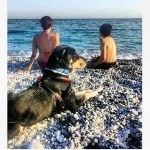 Anna-Maria Papaharalambous Instagram - Απόδραση... Πρώτο πλάνο Χουάν! 
Photo by my son!

#familytime #mysun #dogsbestfriend