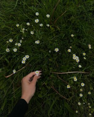 Anna Riebauerová Instagram - 5/2024.
aka little (unnecessary) may recap. xo🫦

#recap #may #photodump #moments #captured #living #spring #bloom