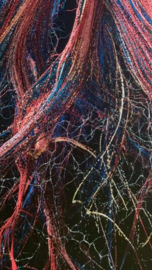 Anneka Rice Instagram - Son 1 has opened a beautiful restaurant, Outcrop at 180 Strand, a kind of green social club in the city.  And this immersive video, Sanctuary of the Unseen Forest, will blow your mind. I couldn’t tear myself away. It’s a giant Ceiba Pentandra tree  from the Colombian Amazon that towers above you - and you can stand and watch in awe the vibrancy of life that is flowing through it. The reverberating soundtrack taps into your own pulse.  Do go and visit, have a cocktail and exquisite food by AngloThai in the most intimate and friendly place you’ll find in London. Did I mention the DJs! The whole experience is nourishment for the soul. @outcrop.social #180thestrand #marshmallowlaserfeast #sanctuary #forest #restaurant #dj @marshmallowlaserfeast