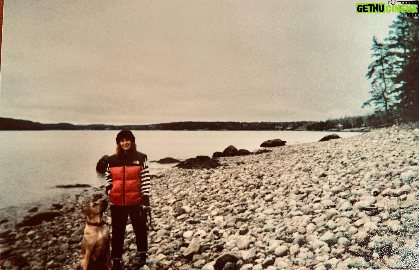 Annie Briggs - 267 Likes - •OLDIES•
.
.
.
.dec 2022 eastcoast; McCoo's/gandalf's abode/lobster boil/madre/ sis/ padre/ jurassic world.