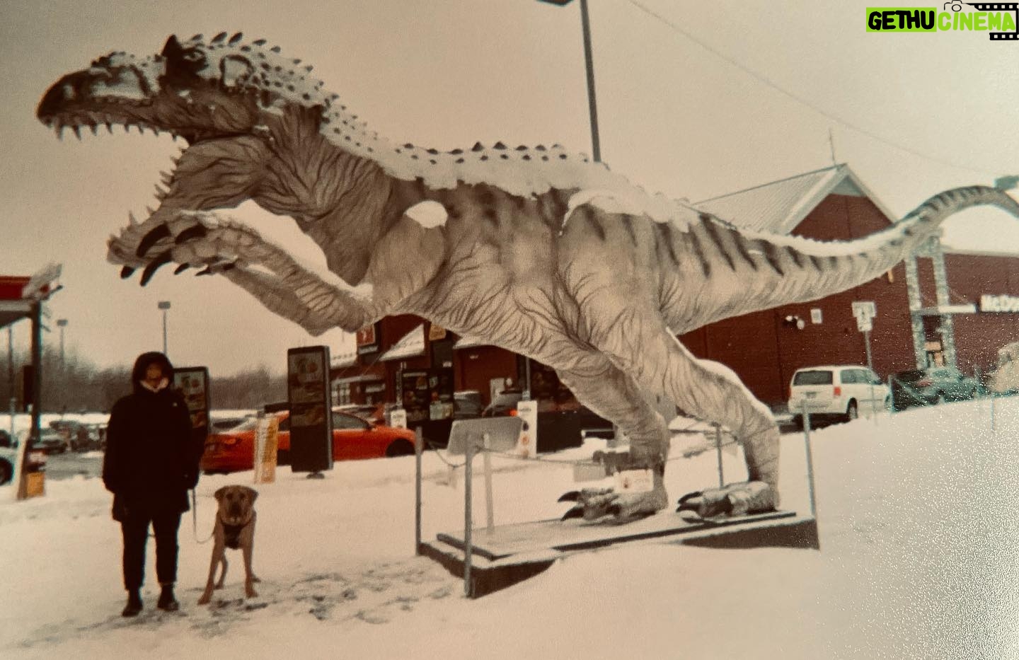 Annie Briggs - 267 Likes - •OLDIES•
.
.
.
.dec 2022 eastcoast; McCoo's/gandalf's abode/lobster boil/madre/ sis/ padre/ jurassic world.