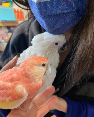 Annie Liu Instagram - We have a new member in our family.