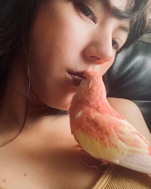 Annie Liu Instagram - 這將是我跟肥雞一起過的第一個聖誕.  昨晚做了一個很難看的聖誕圈圈給她.  期待2.0升級版.