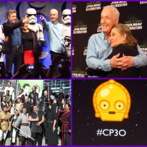 Anthony Daniels Instagram - How bright that present seemed. The fun we had. The future promised so much more. We should be there today. But a disturbance in the Force… well you know the rest. So, for now, simply fond, wonderful, funny memories of times past. The joy will return one day. I hope to meet you there. 
#CP3O indeed!
@hamillhimself #carriefisher @starwarscelebration #anaheim #rebellegion
#starwars #c3po #iamc3po