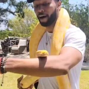 Anthony Hill Instagram - The Snake Whisperer 🐍 

(Ft. Creamsicle & Brownie)