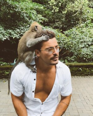 Anthony Matéo Instagram - Malin comme un singe 🐵 #bali #monkeyforestbali