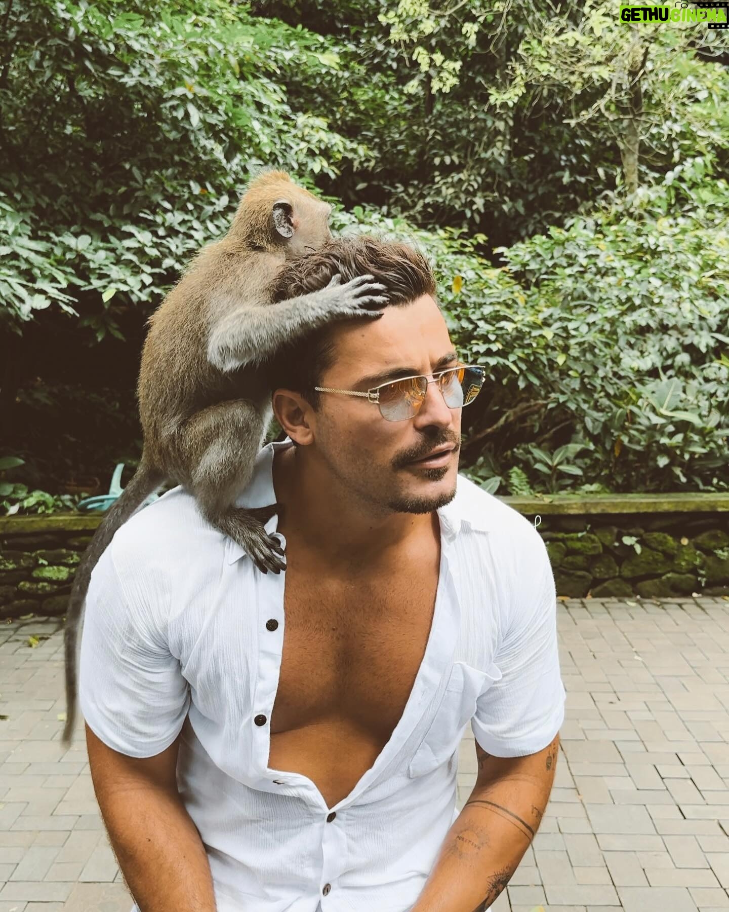 Anthony Matéo - 9K Likes - Malin comme un singe 🐵 #bali #monkeyforestbali