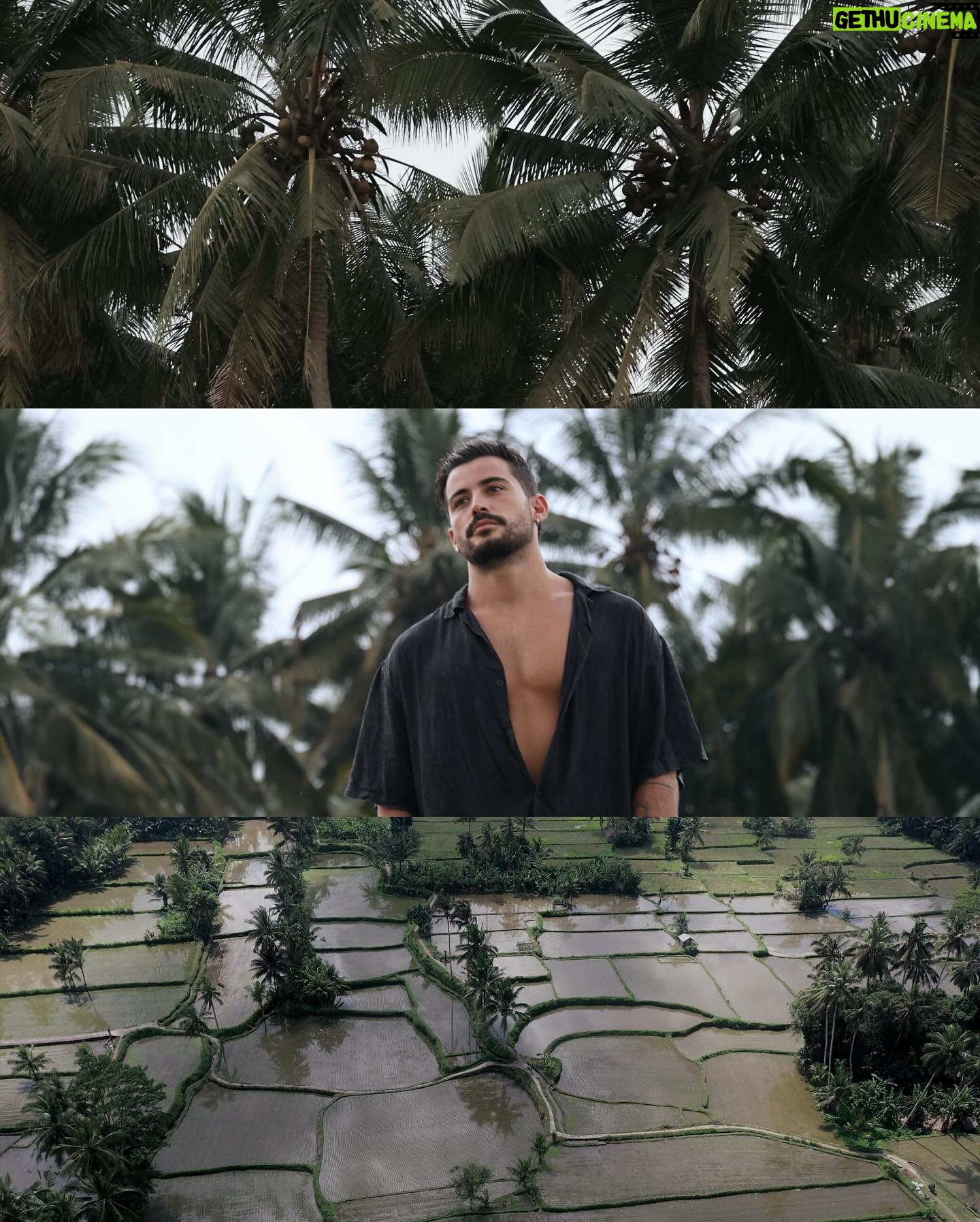 Anthony Matéo - 13.2K Likes - Beautiful Bali 🌴 #travel #ubud #bali #nature