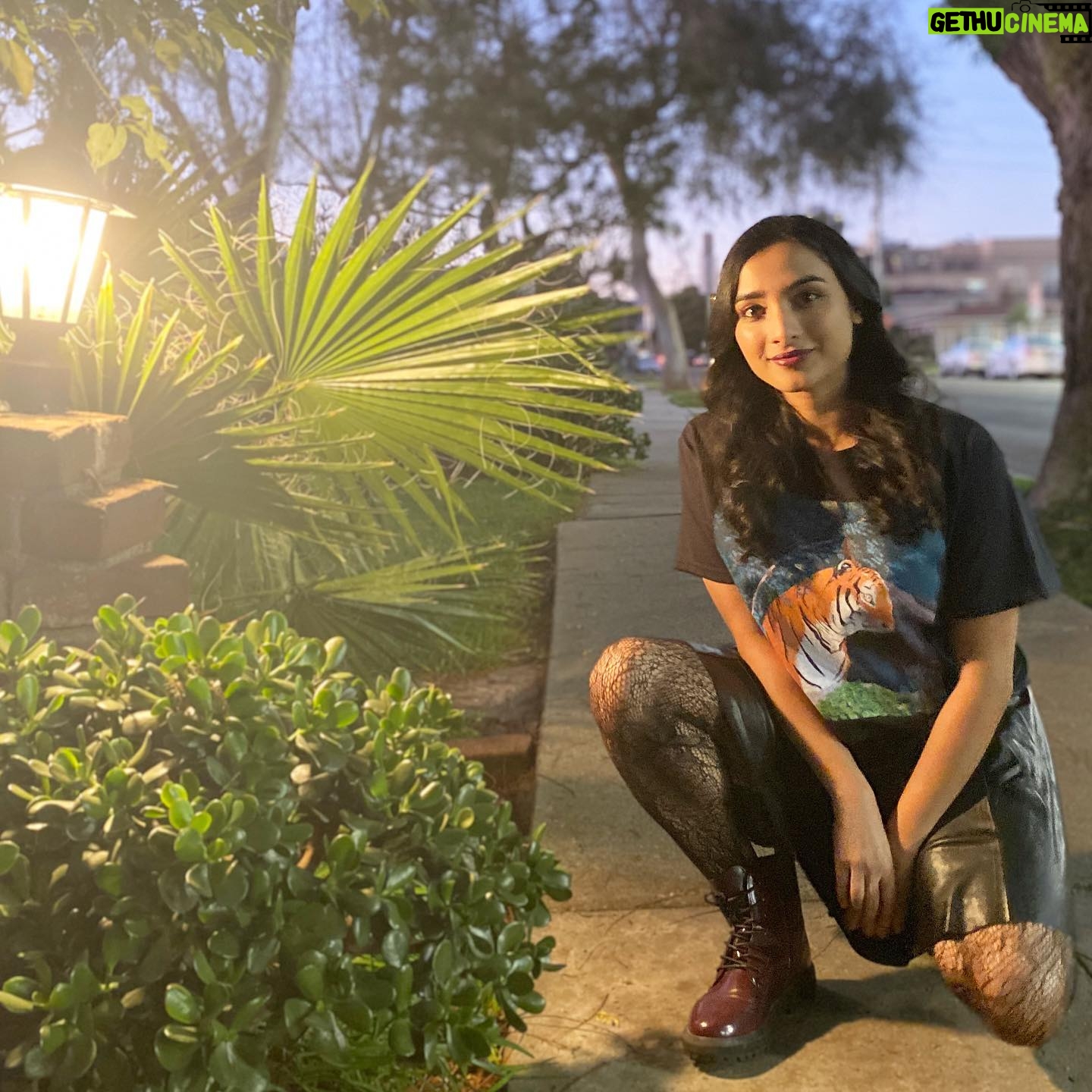Anya Banerjee - 312 Likes - #yearofthetiger Let’s Get It!
🎨 @sujartagram 📸 @claymcinerney