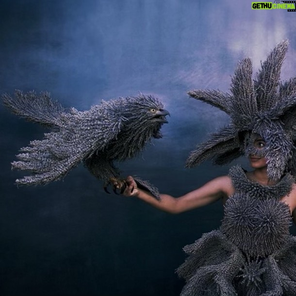 Anya Banerjee - 153 Likes - Over the past month, I’ve had the pleasure of modeling for the phenomenal sculptural artist, Melissa Meier 💜
“Inspired by Brazilian Carnival and Native American skin-walkers, her wearable constructions blend female empowerment with a self-created mythology, developed around the idea of ancient cultures of female warriors, exemplifying strength, beauty and unity of life lived in harmony with the elements. Her warrior women are breathtakingly sensual, while radiating a searing combination of purity and power.”
Thank you @melissameierart for letting me experience your invigorating pieces from within! Your art has inspired me since witnessing it for the first time at @bergamotsantamonica and I’m excited to be involved in more to come!
#melissameier #melissameierart #art #sculpture #wearableart #lavender #birds #femaleenergy #warrior #warriorgoddess #nature #naturalmaterials #collaboration #brazillianart #modeling #photography