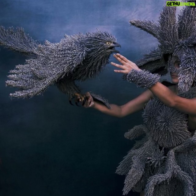 Anya Banerjee - 153 Likes - Over the past month, I’ve had the pleasure of modeling for the phenomenal sculptural artist, Melissa Meier 💜
“Inspired by Brazilian Carnival and Native American skin-walkers, her wearable constructions blend female empowerment with a self-created mythology, developed around the idea of ancient cultures of female warriors, exemplifying strength, beauty and unity of life lived in harmony with the elements. Her warrior women are breathtakingly sensual, while radiating a searing combination of purity and power.”
Thank you @melissameierart for letting me experience your invigorating pieces from within! Your art has inspired me since witnessing it for the first time at @bergamotsantamonica and I’m excited to be involved in more to come!
#melissameier #melissameierart #art #sculpture #wearableart #lavender #birds #femaleenergy #warrior #warriorgoddess #nature #naturalmaterials #collaboration #brazillianart #modeling #photography