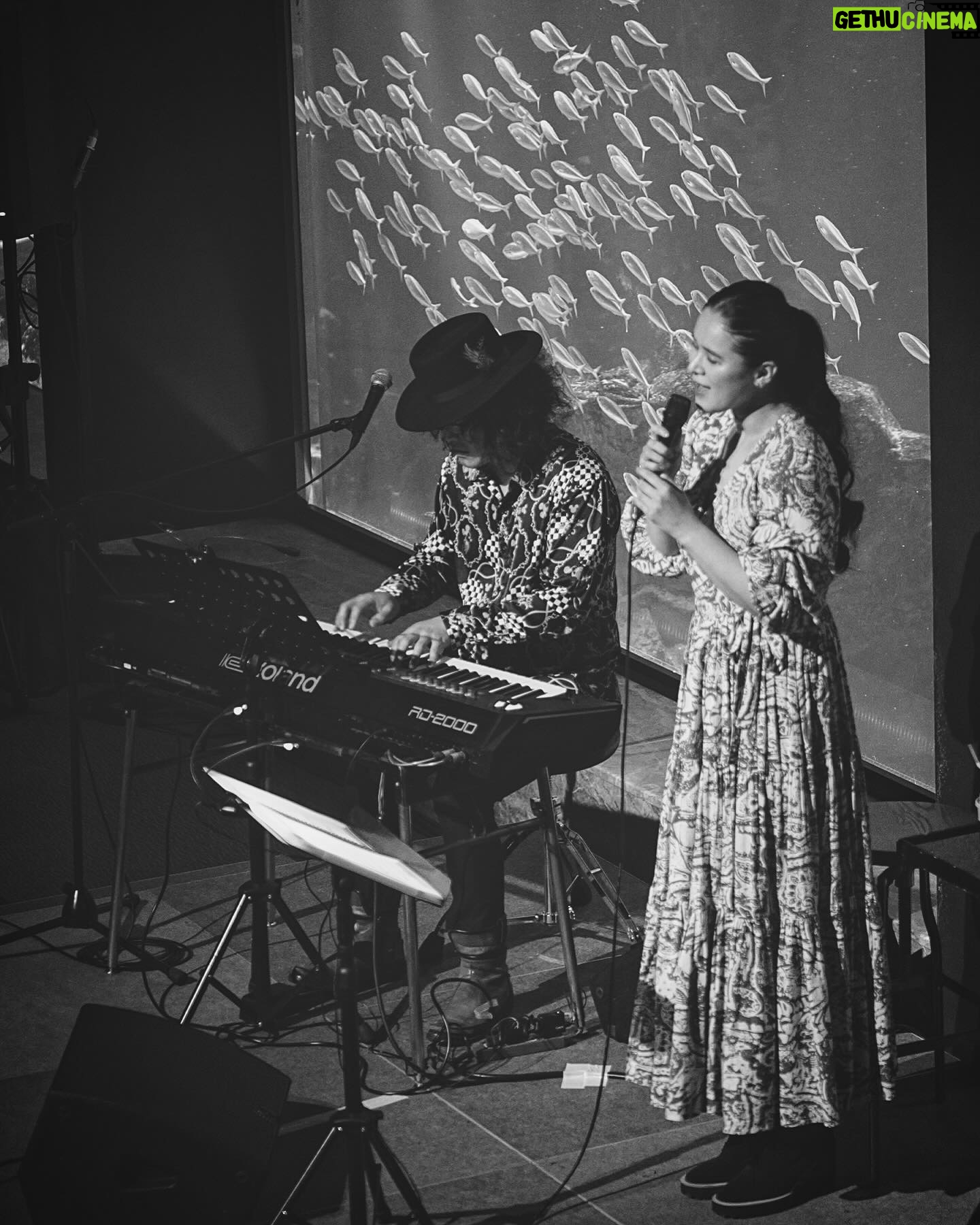 Aoi Teshima - 2.2K Likes - 2024年3月1日マリンワールド海の中道35周年記念特別イベント「LOVE FM月下虫音特別ナイト」へ遊びに来て下さった皆様、ありがとうございました!
そして企画を可能にして下さったマリンワールドの東社長さんとスタッフの皆さん、大好きな大田こぞうさん☺️にLOVE FMのスタッフの皆さんも暖かく迎えて下さって、本当に楽しいコンサートになりました、ありがとうございました!
福岡の地元イベントで、しかも小さな頃から大好きなマリンワールドで歌えて幸せでした🐬🐟ピアノの真藤敬利さんと沢山のお魚さんの前で楽しめました。
また行きたい!
-Aoi🌹
*イベントの様子は、2024年3月19日(火)の「月下虫音」でオンエア予定。
#マリンワールド #海の中道 #マリンワールド海の中道 #lovefm #月下虫音 #大田こぞう さん #真藤敬利 さん #手嶌葵 #aoiteshima #fukuoka #blackandwhitephotography