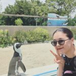 Aoi Teshima
