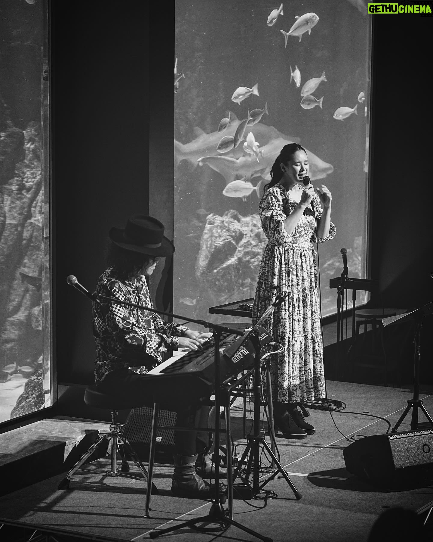 Aoi Teshima - 2.2K Likes - 2024年3月1日マリンワールド海の中道35周年記念特別イベント「LOVE FM月下虫音特別ナイト」へ遊びに来て下さった皆様、ありがとうございました!
そして企画を可能にして下さったマリンワールドの東社長さんとスタッフの皆さん、大好きな大田こぞうさん☺️にLOVE FMのスタッフの皆さんも暖かく迎えて下さって、本当に楽しいコンサートになりました、ありがとうございました!
福岡の地元イベントで、しかも小さな頃から大好きなマリンワールドで歌えて幸せでした🐬🐟ピアノの真藤敬利さんと沢山のお魚さんの前で楽しめました。
また行きたい!
-Aoi🌹
*イベントの様子は、2024年3月19日(火)の「月下虫音」でオンエア予定。
#マリンワールド #海の中道 #マリンワールド海の中道 #lovefm #月下虫音 #大田こぞう さん #真藤敬利 さん #手嶌葵 #aoiteshima #fukuoka #blackandwhitephotography