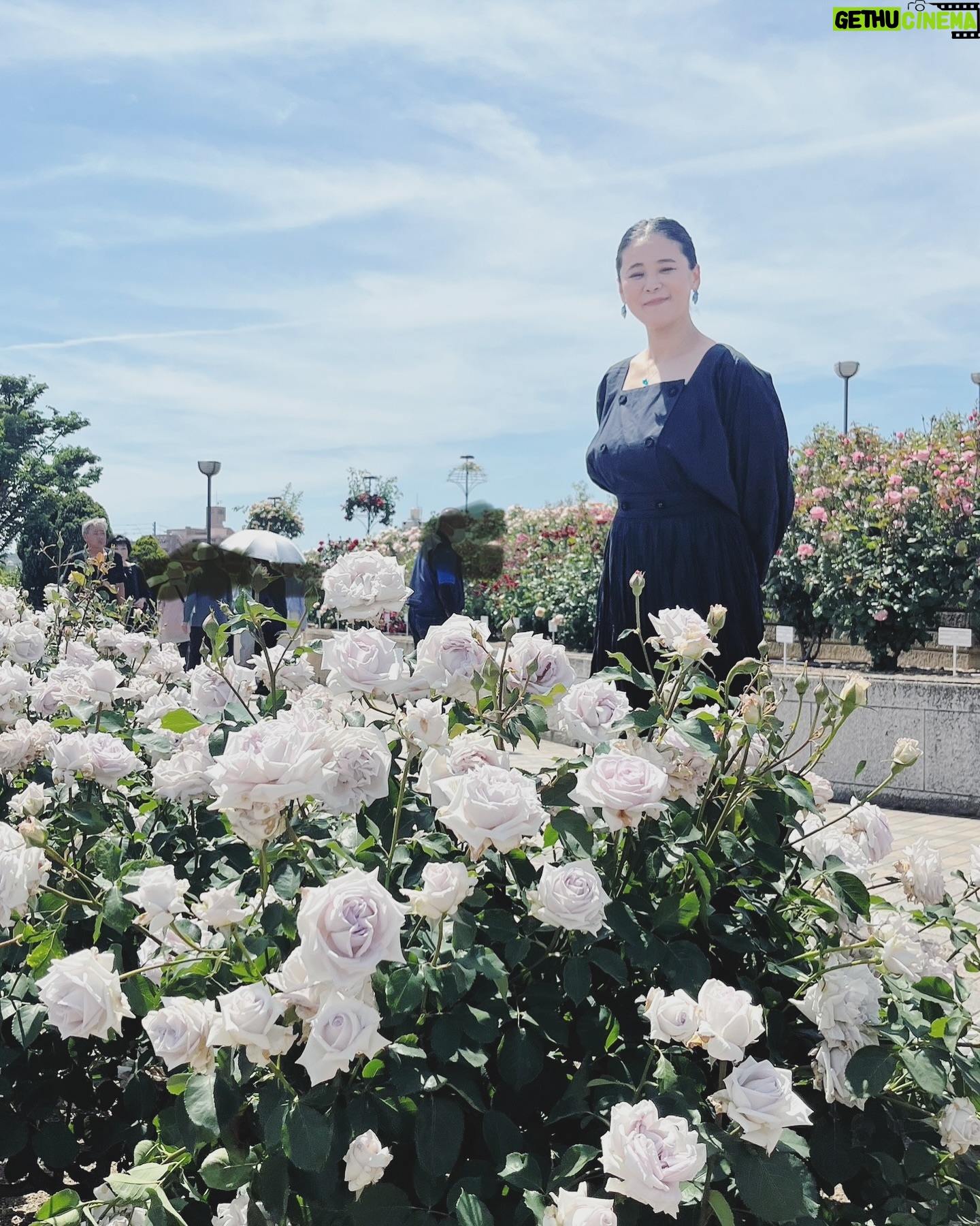 Aoi Teshima - 2.7K Likes - 2024年5月18日、福山通運ローズアリーナで行われた「Rose Expo FUKUYAMA 2025開催1年前イベント」へ遊びに来てくれた皆さま、ありがとうございました!
会場や周辺には沢山のバラが咲き、ばらのまち・広島県福山市が様々なバラで華やかに彩られ、とても綺麗でした。
うちのお庭にいる葵ちゃん(バラの種類)も綺麗です☺️
-Aoi🌹
#手嶌葵 🌹 #バラ #真藤敬利 🎹🎩