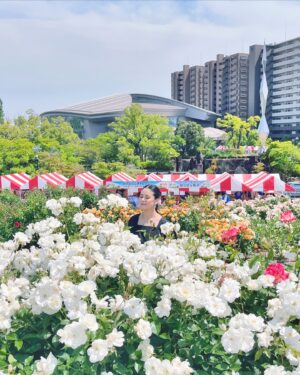 Aoi Teshima Instagram - 2024年5月18日、福山通運ローズアリーナで行われた「Rose Expo FUKUYAMA 2025開催１年前イベント」へ遊びに来てくれた皆さま、ありがとうございました！

会場や周辺には沢山のバラが咲き、ばらのまち・広島県福山市が様々なバラで華やかに彩られ、とても綺麗でした。

うちのお庭にいる葵ちゃん（バラの種類）も綺麗です☺️

-Aoi🌹 

#手嶌葵 🌹 #バラ #真藤敬利 🎹🎩