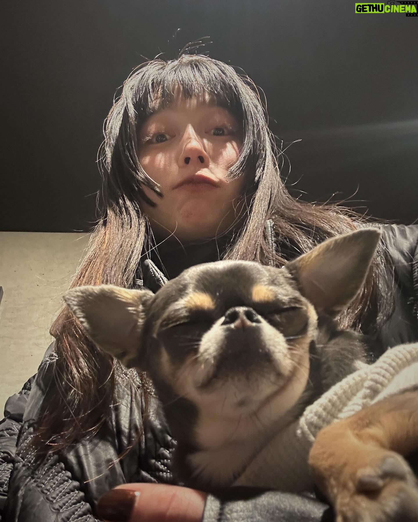 Aoi Yoshikura - 3 Likes - 365
ピラティスで心と体を動かして、癒して。
愛するブリツキに癒されて。
かっこつけた後に。
前髪ひっくり返った
😇
#PR#pllates#ピラティス#meditation#メディテーション#mindfulness#マインドフルネス
#元野犬#元保護犬
#柄柄女
#前髪の裏側