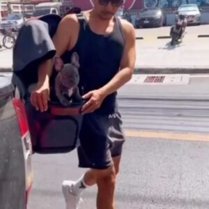 Apisit Opasaimlikit Instagram - #joeyboy #ollie #summertime