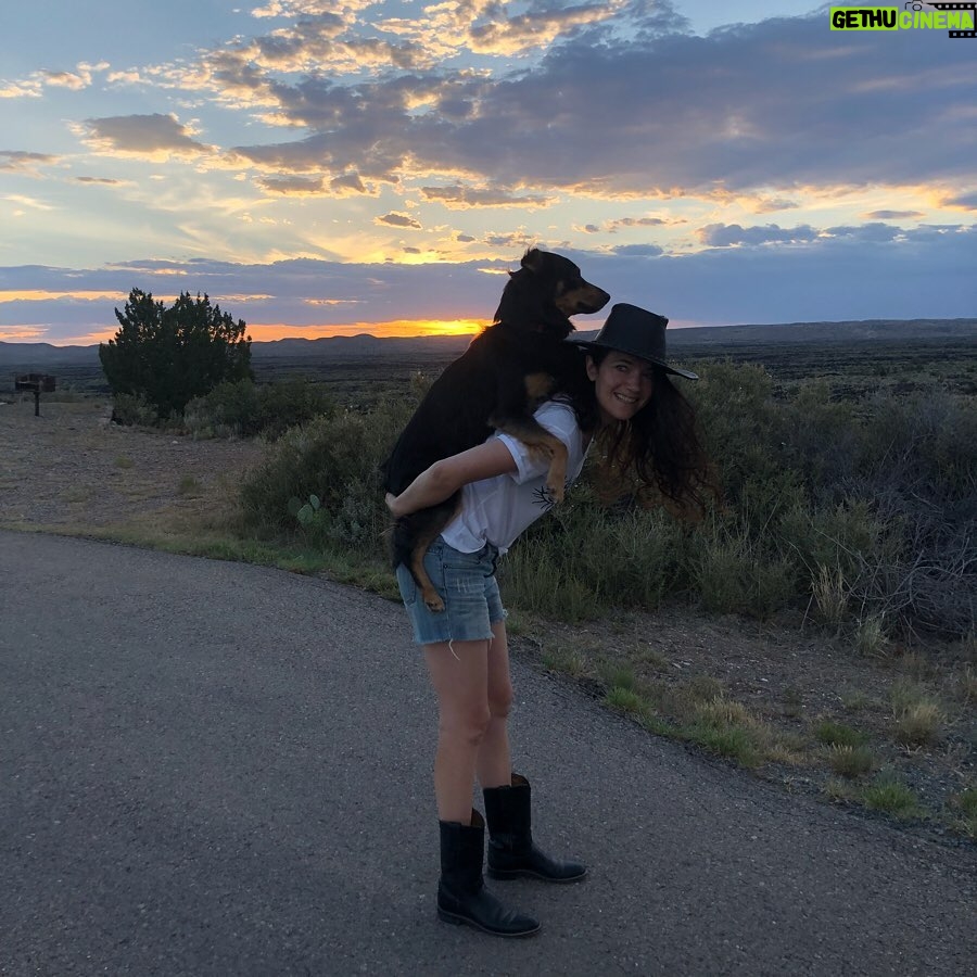 April Mullen - 1K Likes - Trailer living with my Partner in Crime, El Perro! #trailerlife #aprilmullen #doglife #shotlisting