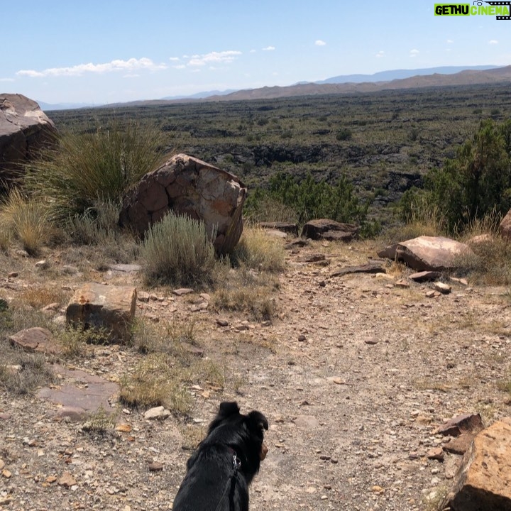 April Mullen - 1K Likes - Trailer living with my Partner in Crime, El Perro! #trailerlife #aprilmullen #doglife #shotlisting