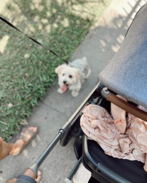 Aqueela Zoll Instagram - This last week home didn’t go quite like we planned, but we’re all healthy and so grateful to be. Angel girl graduated into her big girl seat in her stroller today. 🥹She definitely wants to be up, involved, and in the action for our walks 🌴 

Stroller by @uppababy