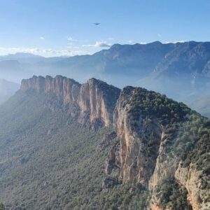 Araceli Segarra Instagram - La calma de planejar una tèrmica. Qui no voldria ser ocell?, qui no ho ha pensat almenys un cop a la vida?
#fly 
#vultures 
#birds 
#iwanttofly