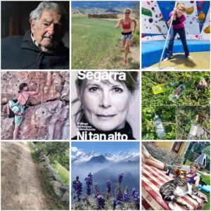 Araceli Segarra Instagram - Moments bonics n'ha tingut molts el 2023..... no tots publicables...🤭 (ja em perdonareu)... així que us deixo els 9  que més us han agradat....i no em pregunteu perquè, sou gent rara 😂🤗
#bestnine2023 
#sougentraraquehifarem😜
1.- El Pepe parlant de sostenibilitat 
2.- corrent per la Cerdanya una comparativa de sequera 
3.- Netejant al roco la merda dels altres abans de fer-lo anar 
4.- escalant a la Riba modo pirata, estil 1987
5.- Versió "fake" de la portada del Ni tant alt 10 aniversari
6.-Netejant la merda que deixent visitants i habitants a la bora de casa la nit de Sant Joan. (Per alguna extranya raó us agrada la gent netejant...🤷🏻)
7.- excursió circular per l'alt Urgell
8.- vistes maques del Perú
9.- Gat fent de gat & lectura jardinera