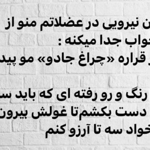 Arash Zellipour Instagram - .

سالهاست هر روز صبح که بیدار میشم
وقتی توی رختخواب چشمام باز میشن و دارم خودمو کِش میدم و به یه روز تکراری دیگه فکر میکنم،
یهو یادم میاد ممکنه امروز همون روز موعود باشه
ناگهان نیرویی در عضلاتم منو از رختخواب جدا میکنه :
امروز قراره «چراغ جادو» مو پیدا کنم
چراغ رنگ و رو رفته ای که باید سه بار روش دست بکشم‌تا غولش بیرون بیاد و ازم بخواد سه تا آرزو کنم
همیشه استرس دارم وقتی چراغ جادو رو پیدا می‌کنم
یه وقت‌آرزوهام یادم نره
هر چند توی همه این سال ها بارها آرزوهام عوض شدن اما هر روز صبح مرورشون می کنم که وقتی غول میگه : « من غلام حلقه به گوشت هستم سه تا آرزویت را بگو » فراموش شون نکنم!

سالهاست هر روز صبح با این امید از رختخواب بیرون میام و می دونم یکی از همین روزا « چراغ جادو » مو پیدا می کنم
نباید آرزوهام یادم برن..
شاید باید روی تکه کاغذی بنویسمشون تا یه وقت فراموششون نکنم
.
پی نوشت : بعضی وقت‌ها میخوام بعضی نوشته هامو اینجا باهاتون به اشتراک بذارم ، دوست دارم نظر بدین و بهم بگین دوسشون دارین یا نه…
.
#آرش_ظلی_پور#بازیگران_ایرانی#دلنوشته_های_من#غول_چراغ_جادو#چراغ_جادو#امید_به_آینده