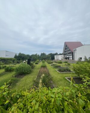 Arata Iura Instagram - _
ずっと気になっていた内藤記念くすり博物館へ
様々な有用植物いわゆる薬草について深く学び知ることができた
くすりにまつわる博物学が楽しめる常設展
脳の仕組みや認知症を丁寧に教えてくれる企画展
そして外の薬草園は育ててみたかった憧れの植物や
初めて見る珍しい植物たちがいて素晴らしい環境だった

素通りしてしまっていた身近にある植物たちが
いかに貴重で有用なものなのか
ちゃんと知るって本当に大事だ
世界が広がり豊かに生きれる

@kusuri_museum.official 

#内藤記念くすり博物館