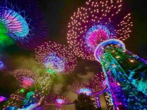 Ari Ozawa Instagram - シンガポール旅行🇸🇬

夜景がすごく綺麗で夜いっぱい散歩しました！
風が気持ちよくて、ずっと歩いていられました☺️

そして美味しいものいっぱい食べました😍

ティオンバルベーカリー🥐のクロワッサンはまーーじで美味しかった🥹❤️リベイクして提供してくれる

ラッキーチキンライスのチキンライスはスチームもローストもどっちも美味しかった❤️❤️こんな柔らかいチキン食べた事ない

レッドハウスはお値段するけど、全部美味しくて感動した😭👏
チリクラブ辛かった！！揚げパンは必須で注文
唐揚げみたいなの頼んだら衣が神でうっっっま！って叫んだ
サテと海鮮炒飯も頼んだけどうっっっまかったです！
食べきれなかったらお持ち帰りできます🫶🏻
エスプラネード店のテラスで食べたんですが、ロケーション最高でした！

旅行でのグルメはマストですよね🍽️🤩

#ガーデンズバイザベイ 
#マリーナベイサンズ 
#ティオンバルベーカリー 
#ラッキーチキンライス 
#レッドハウス