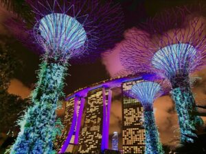 Ari Ozawa Instagram - シンガポール旅行🇸🇬

夜景がすごく綺麗で夜いっぱい散歩しました！
風が気持ちよくて、ずっと歩いていられました☺️

そして美味しいものいっぱい食べました😍

ティオンバルベーカリー🥐のクロワッサンはまーーじで美味しかった🥹❤️リベイクして提供してくれる

ラッキーチキンライスのチキンライスはスチームもローストもどっちも美味しかった❤️❤️こんな柔らかいチキン食べた事ない

レッドハウスはお値段するけど、全部美味しくて感動した😭👏
チリクラブ辛かった！！揚げパンは必須で注文
唐揚げみたいなの頼んだら衣が神でうっっっま！って叫んだ
サテと海鮮炒飯も頼んだけどうっっっまかったです！
食べきれなかったらお持ち帰りできます🫶🏻
エスプラネード店のテラスで食べたんですが、ロケーション最高でした！

旅行でのグルメはマストですよね🍽️🤩

#ガーデンズバイザベイ 
#マリーナベイサンズ 
#ティオンバルベーカリー 
#ラッキーチキンライス 
#レッドハウス