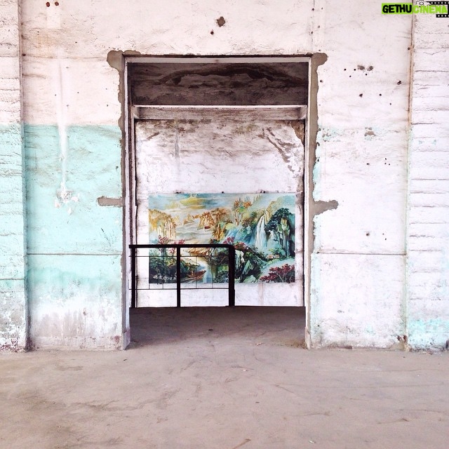 Ari Wegner - 136 Likes - Location scouting often brings the best surprises...