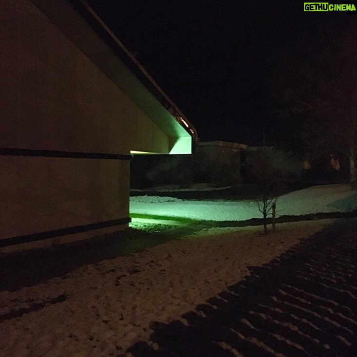 Ari Wegner - 254 Likes - Fresh Snow - Happy Stroll ❄️☺️❄️