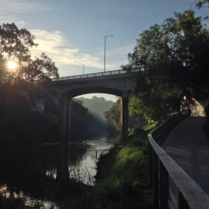 Ari Wegner Instagram - Good morning Abottsford :)