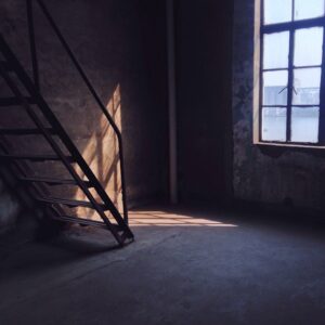 Ari Wegner Instagram - Irresistible light patch...