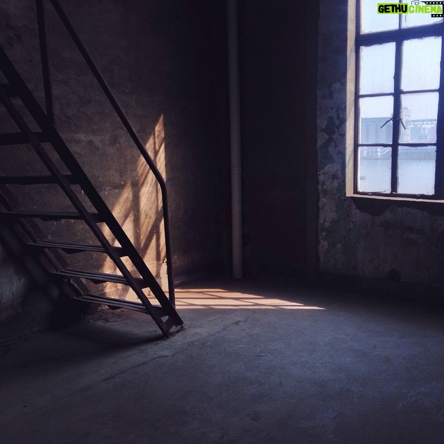 Ari Wegner - 247 Likes - Irresistible light patch...