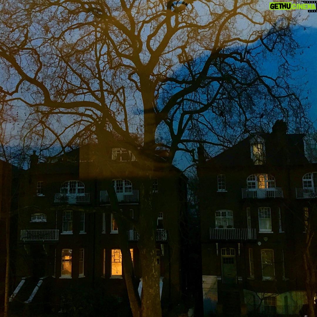 Ari Wegner - 201 Likes - London Spook 👻