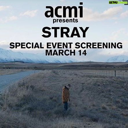 Ari Wegner - 502 Likes - Melbourne friends! This Thursday at ACMI, a one-off chance to see STRAY on the big screen in Australia. This film is so dear to me, I wish I could be there. As a DP, so many hours are spent on set looking down a strange little tube at a tiny little image, that image however is quite often designed to be viewed many thousands of times larger and this was certainly the case on STRAY. See it big, you won’t regret it! There’s also a Q&A after with director @dustinfeneley and production designer @whinnies , moderated by the wonderful @glendyn_ivin . Tickets available at the ACMI website. Wish I could make it! @strayfeaturefilm