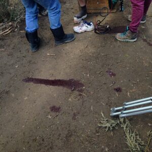 Ari Wegner Instagram - Blood, sweat and tears. Mostly blood.