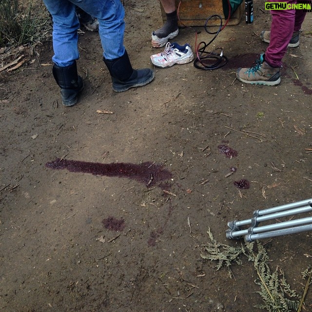 Ari Wegner - 62 Likes - Blood, sweat and tears. Mostly blood.